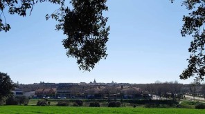 Vistas